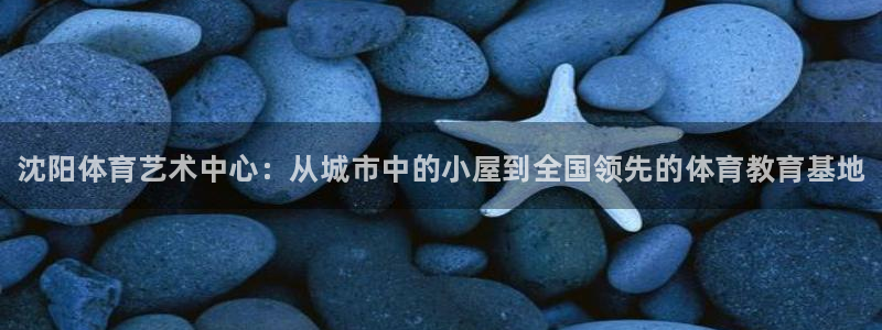 欧亿体育官方正版app新能源：沈阳体育艺术中心：从城