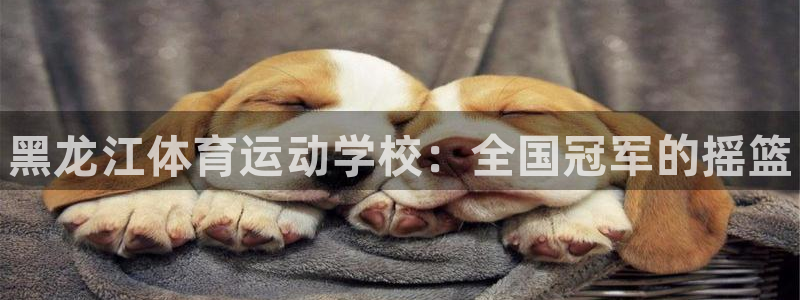 注册欧亿体育官方正版app：黑龙江体育运动学校：全国