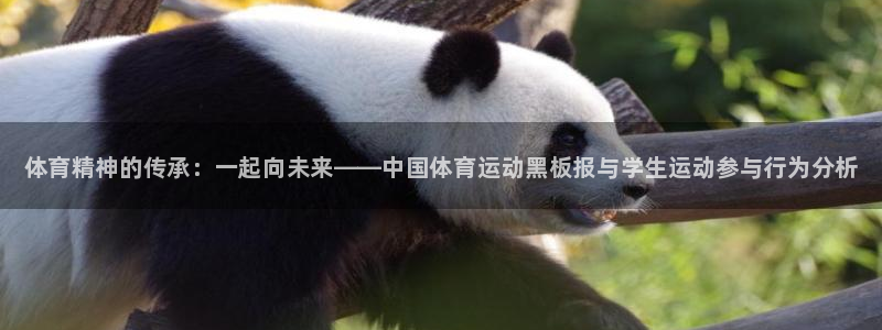 欧亿体育官方正版app娱乐代理怎么样：体育精神的传承