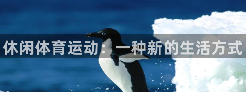 注册欧亿体育官方正版app：休闲体育运动：一种新的生