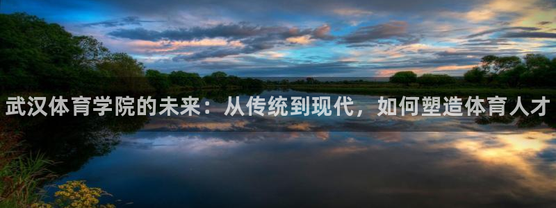 欧亿体育官方正版app集团：武汉体育学院的未来：从传