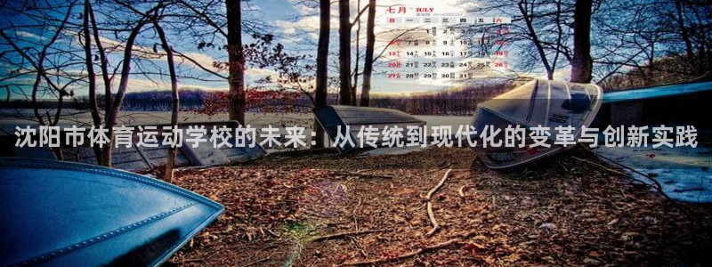 海南oety欧亿体育官网下载发展怎么样：沈阳市体育运