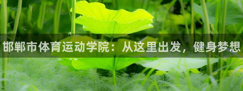 oety欧亿体育官网下载平台是正规平台吗知乎：邯郸市