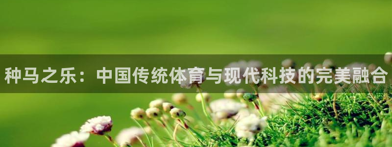 oety欧亿体育官网下载：种马之乐：中国传统体育与现