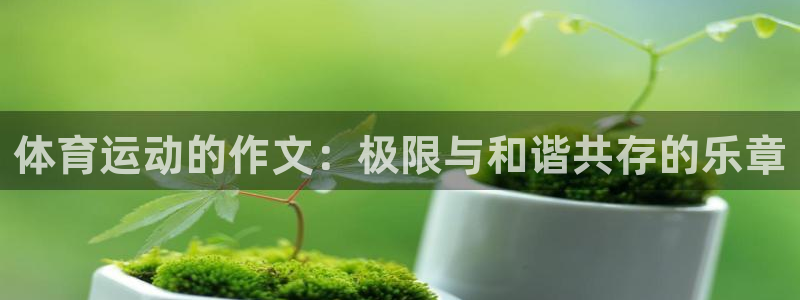 欧亿体育官方正版app娱乐下载：体育运动的作文：极限