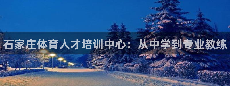 oety欧亿体育官网下载平台假的吗是真的吗吗：石家庄