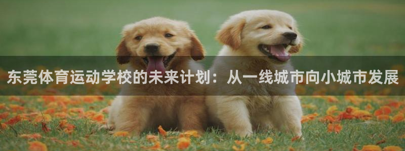 欧亿体育官方正版app代理：东莞体育运动学校的未来计划：从一