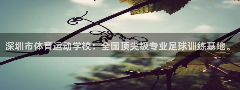 欧亿体育官方正版app集团logo：深圳市体育运动学