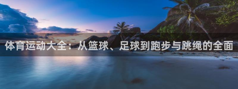 欧亿体育官方正版app神州：体育运动大全：从篮球、足