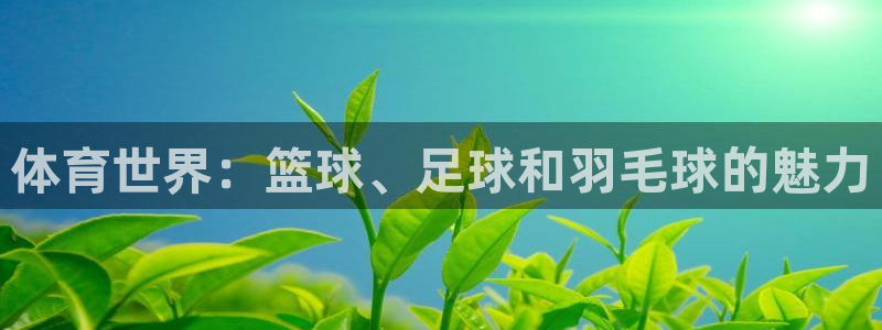 欧亿体育官方正版app娱乐代理怎么样：体育世界：篮球