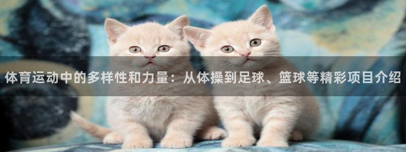欧亿体育官方正版app集团官网首页：体育运动中的多样性和力量