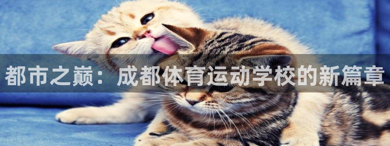 欧亿体育官方平台体育：都市之巅：成都体育运动学校的新篇章
