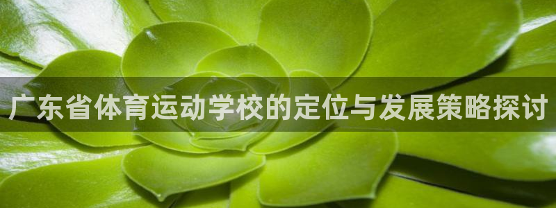oety欧亿体育官网下载官方客服电话：广东省体育运动学校的定