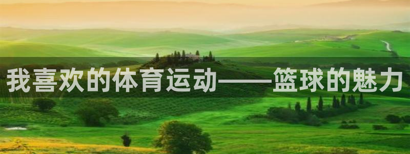 欧亿体育官方正版app娱乐：我喜欢的体育运动——篮球的魅力