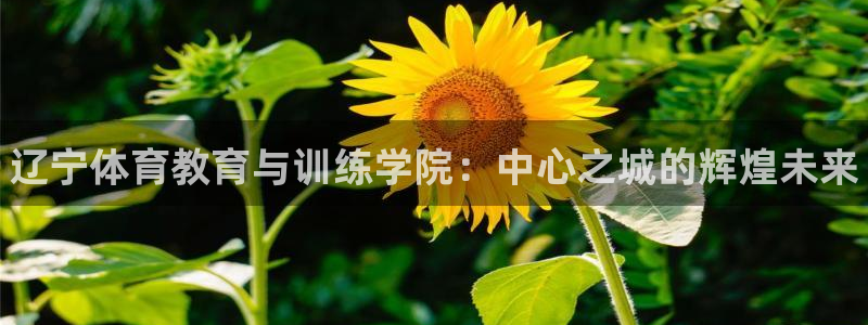 oety欧亿体育官网下载平台