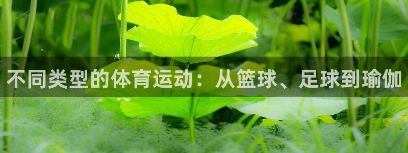 oety欧亿体育官网下载娱乐