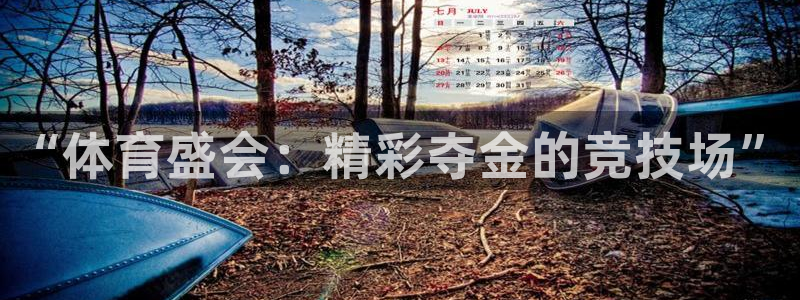 oety欧亿体育官网下载招商电话地址：“体育盛会：精彩夺金的