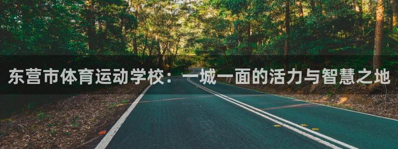 oety欧亿体育官网下载招商电话地址：东营市体育运动学校：一