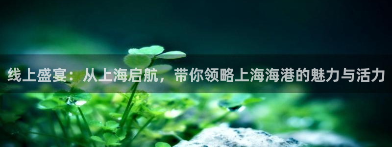 蓝鲸体育直播在线观看nba总决赛