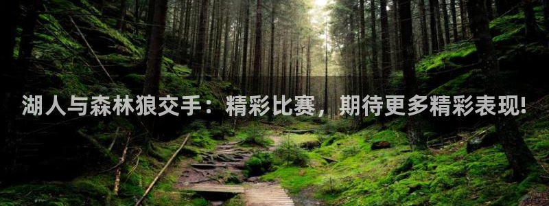 蓝鲸的视频大全