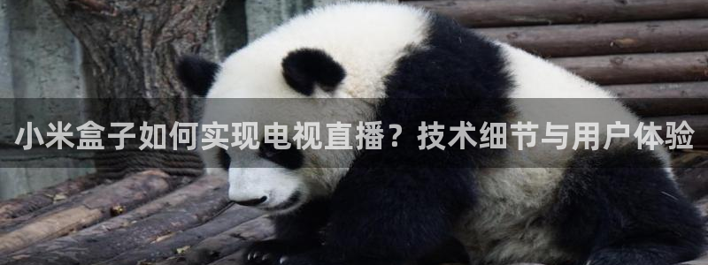 蓝鲸直播男