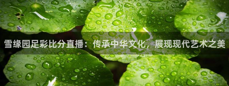 nba直播蓝鲸体育：雪缘园足彩比分直播：传承中华文化，展现现代艺术之美