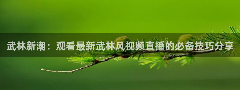 蓝鲸体育足球直播在线观看：武林新潮：观看最新武林风视频直播的必备技巧分享