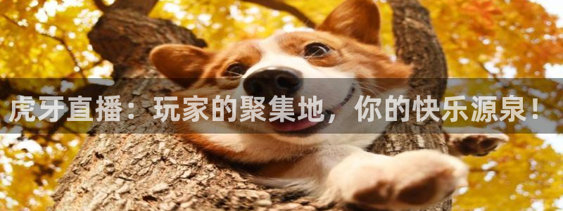 蓝鲸体育直播平台