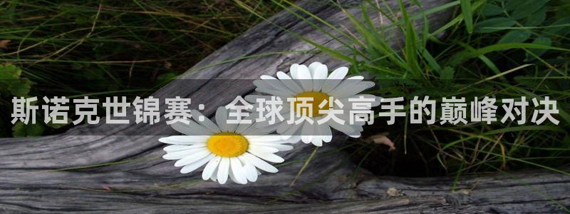 蓝鲸体育免费观看