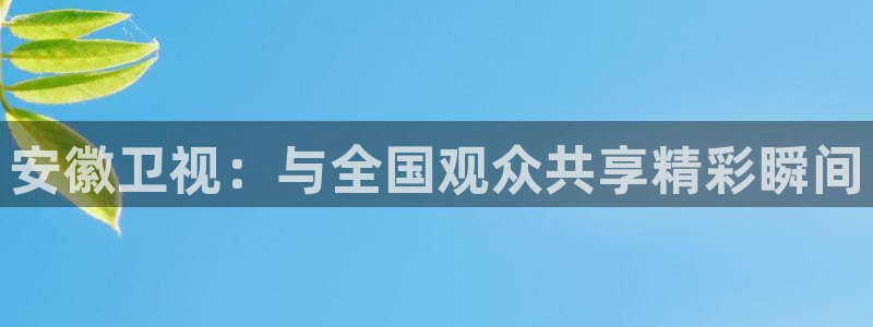 蓝鲸体育足球免费观看：安徽卫视：与全国观众共享精彩瞬间