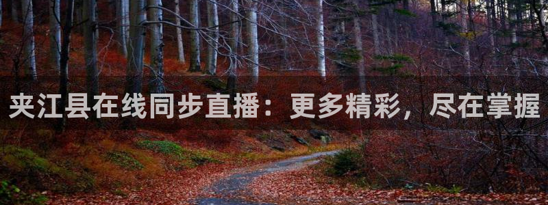 蓝鲸直播体育免费观看：夹江县在线同步直播：更多精彩，尽在掌握