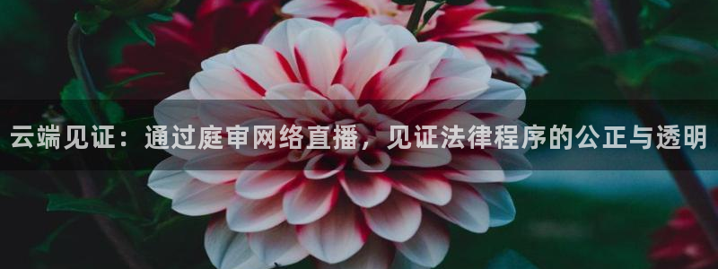 最新蓝鲸直播app：云端见证：通过庭审网络直播，见证法律程序的公正与透明